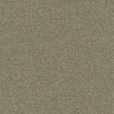 DB 704 Bild DB 704 Bild