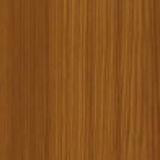 Winterdouglasie genarbt Bild Winterdouglasie genarbt Bild