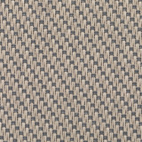 back<br />008001<br />safari Bild back<br />008001<br />safari Bild