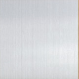 EV1 (Silberfarbton) Bild EV1 (Silberfarbton) Bild