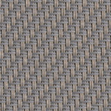 front<br />033001<br />oyster shell Bild front<br />033001<br />oyster shell Bild
